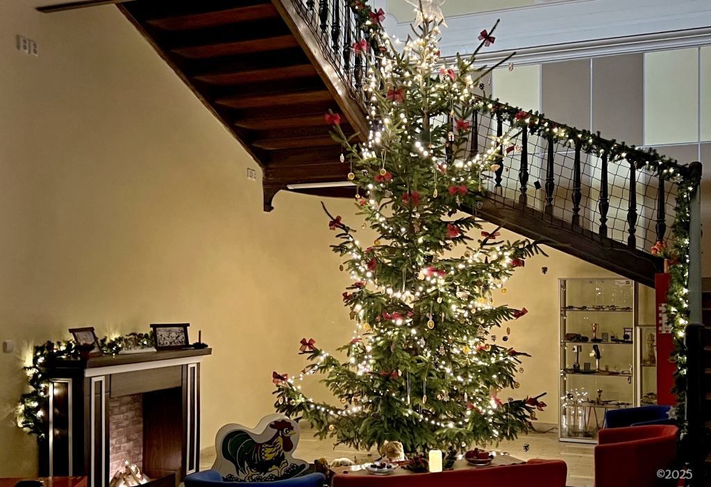 008_vanocni-vyzdoba_2025-11-21.jpeg